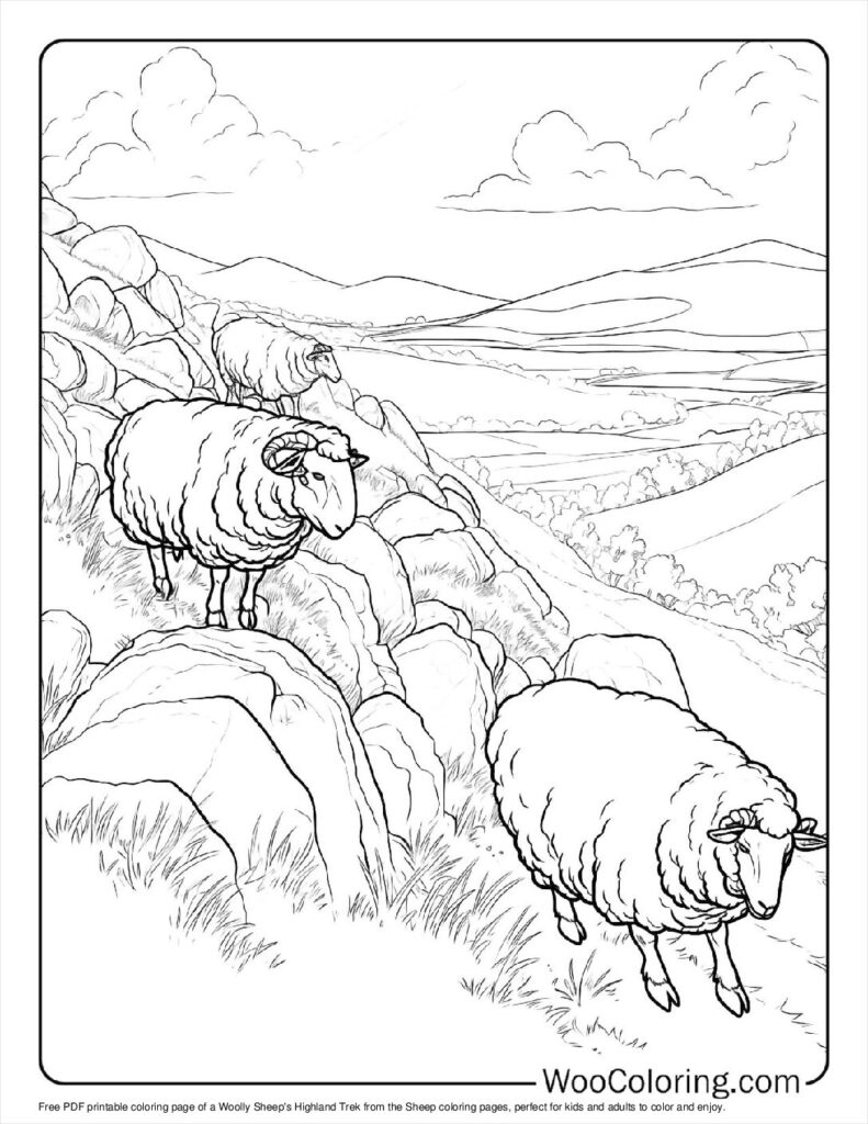 Free Sheep Printable Coloring Pages