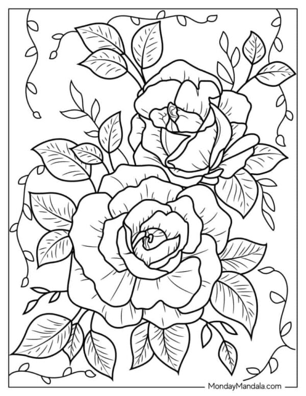 Free Printable Rose Coloring Pages