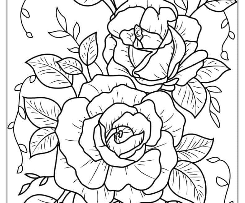 20 Rose Coloring Pages Free PDF Printables