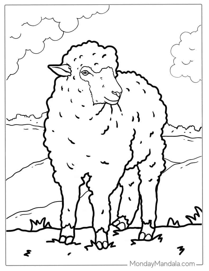 24 Sheep Coloring Pages Free PDF Printables 