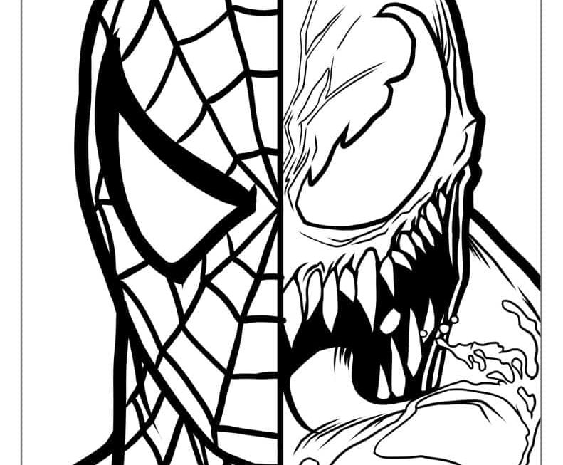 40 Spider Man Coloring Pages Free PDF Printables