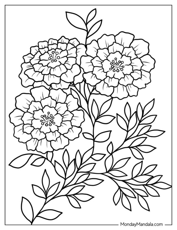 Printable Coloring Pages Of Flowers
