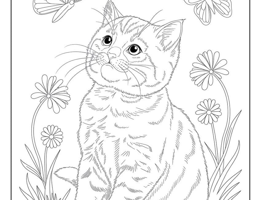 54 Cat Coloring Pages Free Printables For All Ages