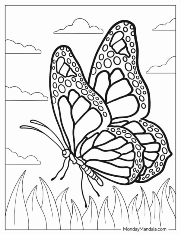 Butterfly Coloring Pages Printable