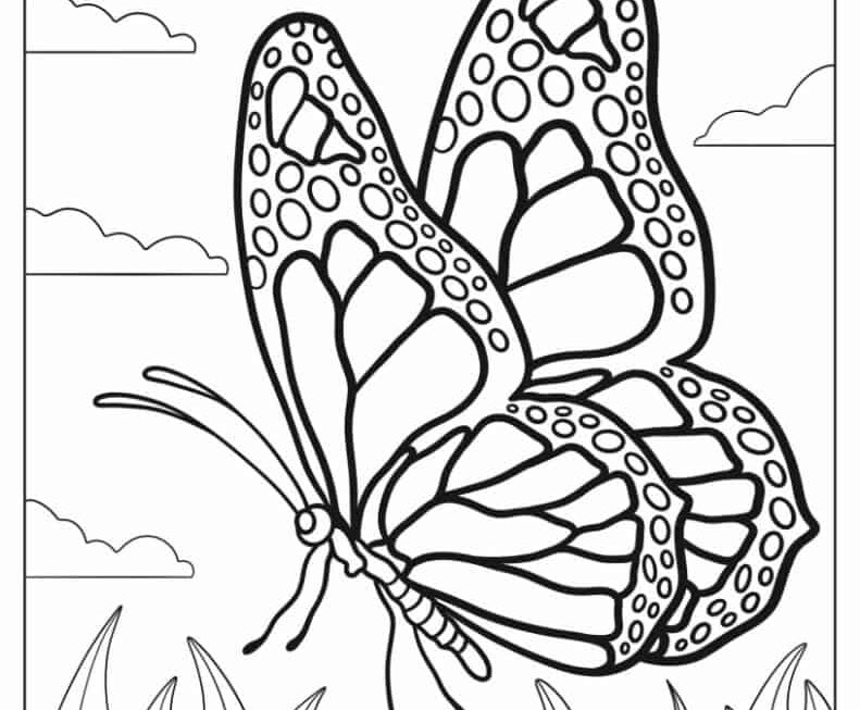 62 Butterfly Coloring Pages Free PDF Printables