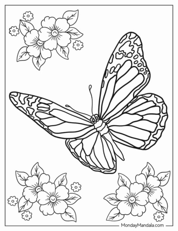Free Printable Butterfly Coloring Pages