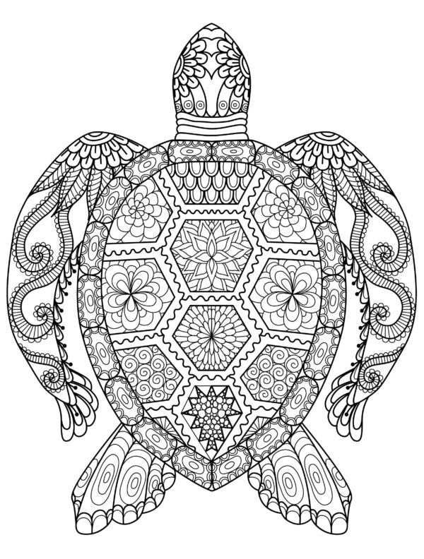 Printable Coloring Pages Turtle Advanced
