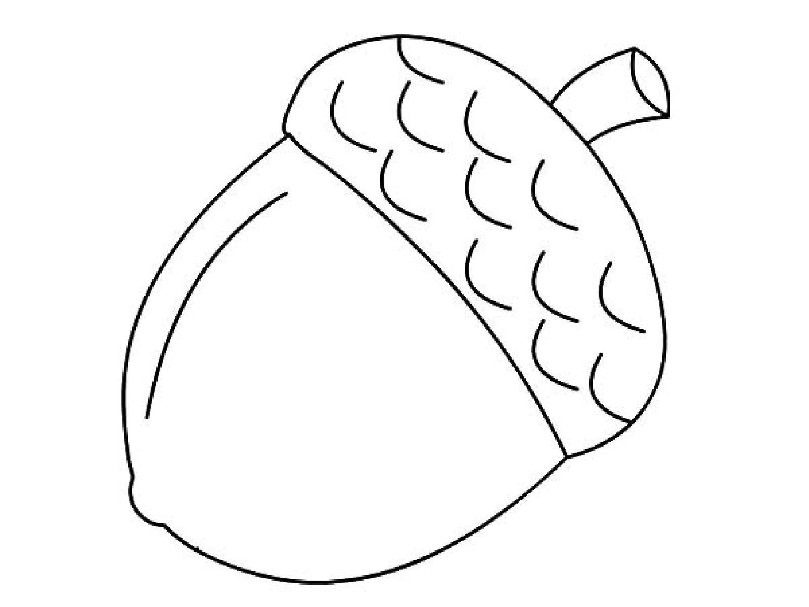 Acorn Coloring Pages Best Coloring Pages For Kids