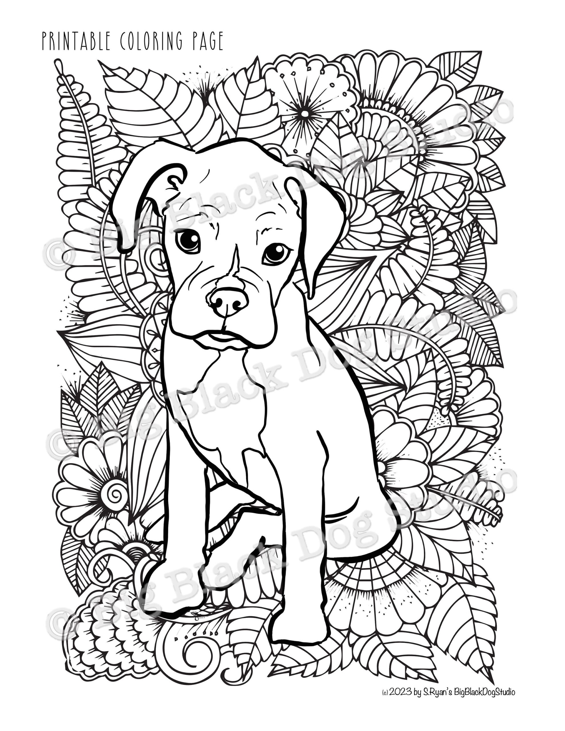 Adorable Boxer Puppy Coloring Page digital Download Etsy
