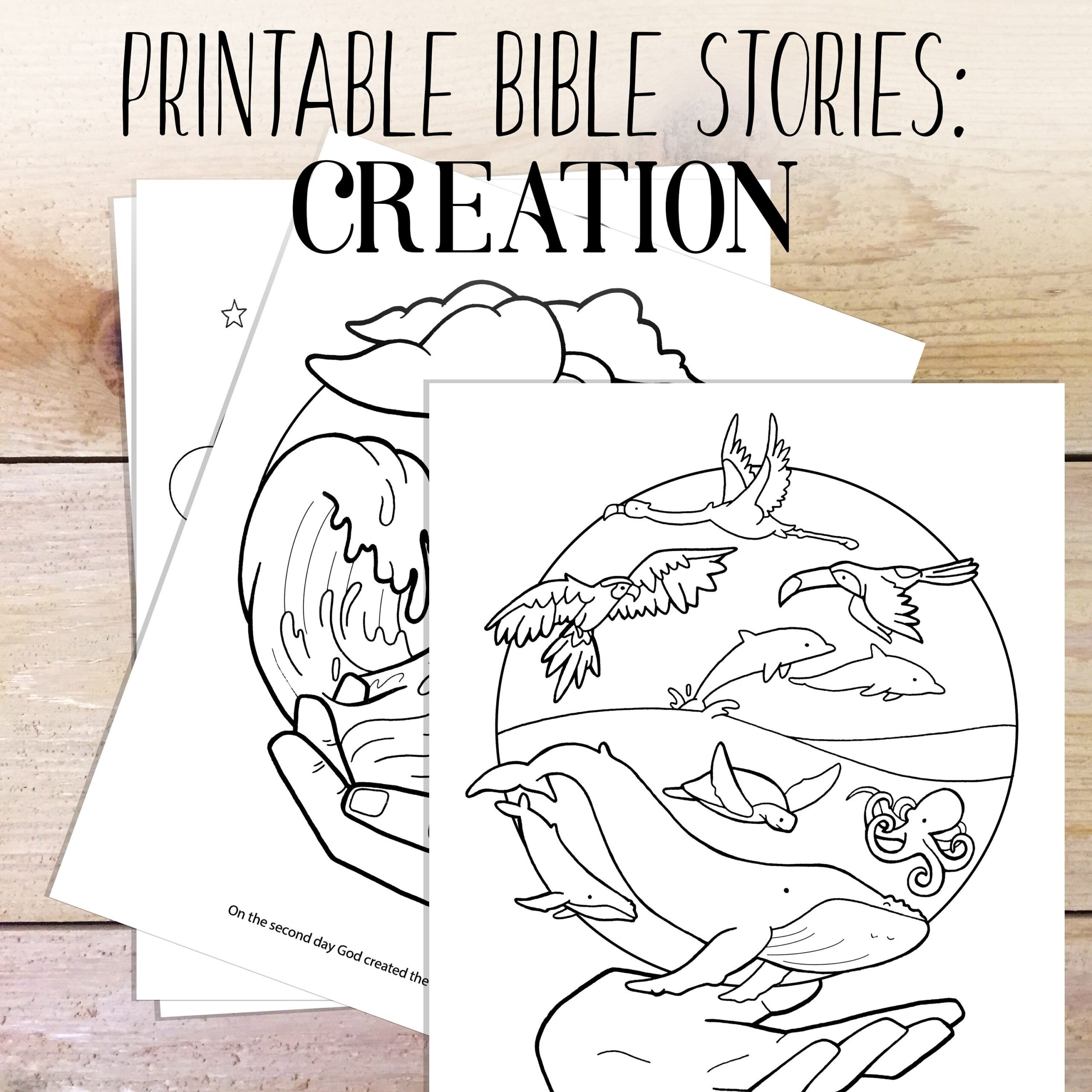 Bible Study Creation Story Kids Coloring Bible Printable Homeschool Family Bible Study Coloring Pages Etsy