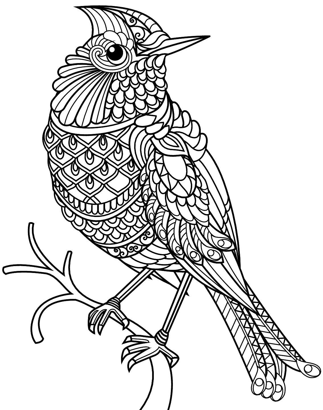 Free Printable Bird Coloring Pages