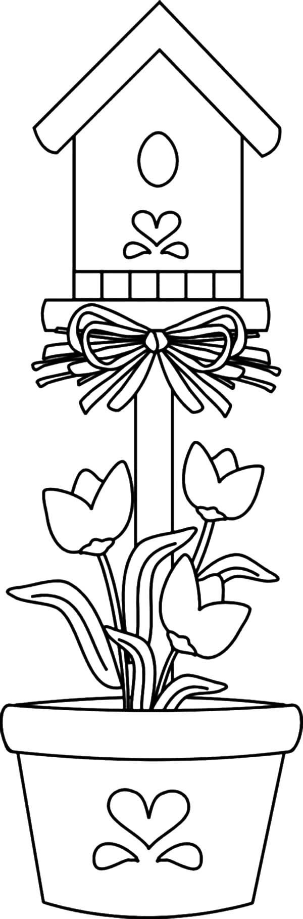 Bird House Planted In Pot Coloring Pages Best Place To Color