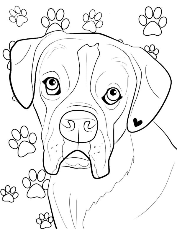 Printable Boxer Dog Coloring Pages