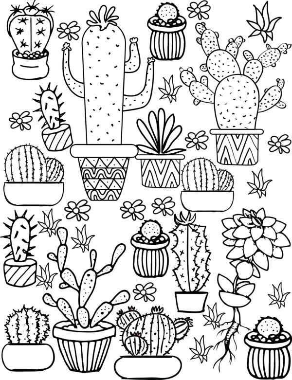 Free Printable Coloring Page Cactus