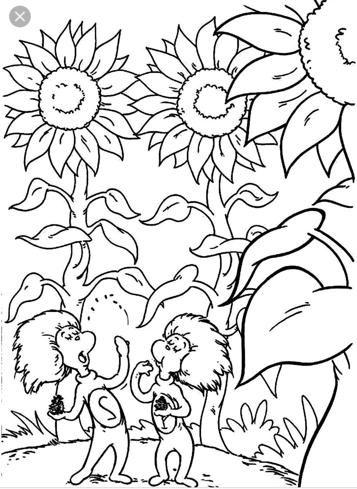 Dr. Seuss Coloring Pages Printable