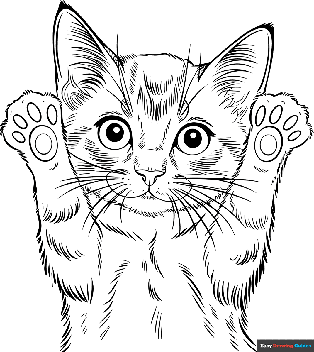Printable Kitten Coloring Pages