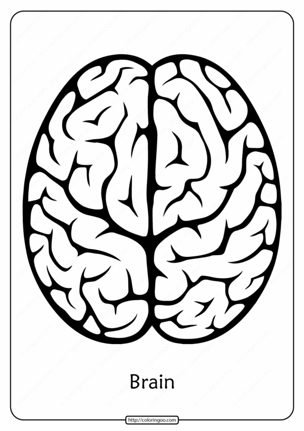 Free Printable Brain Coloring Pages