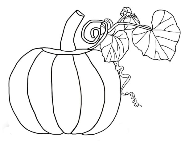 Free Printable Coloring Pages Pumpkins