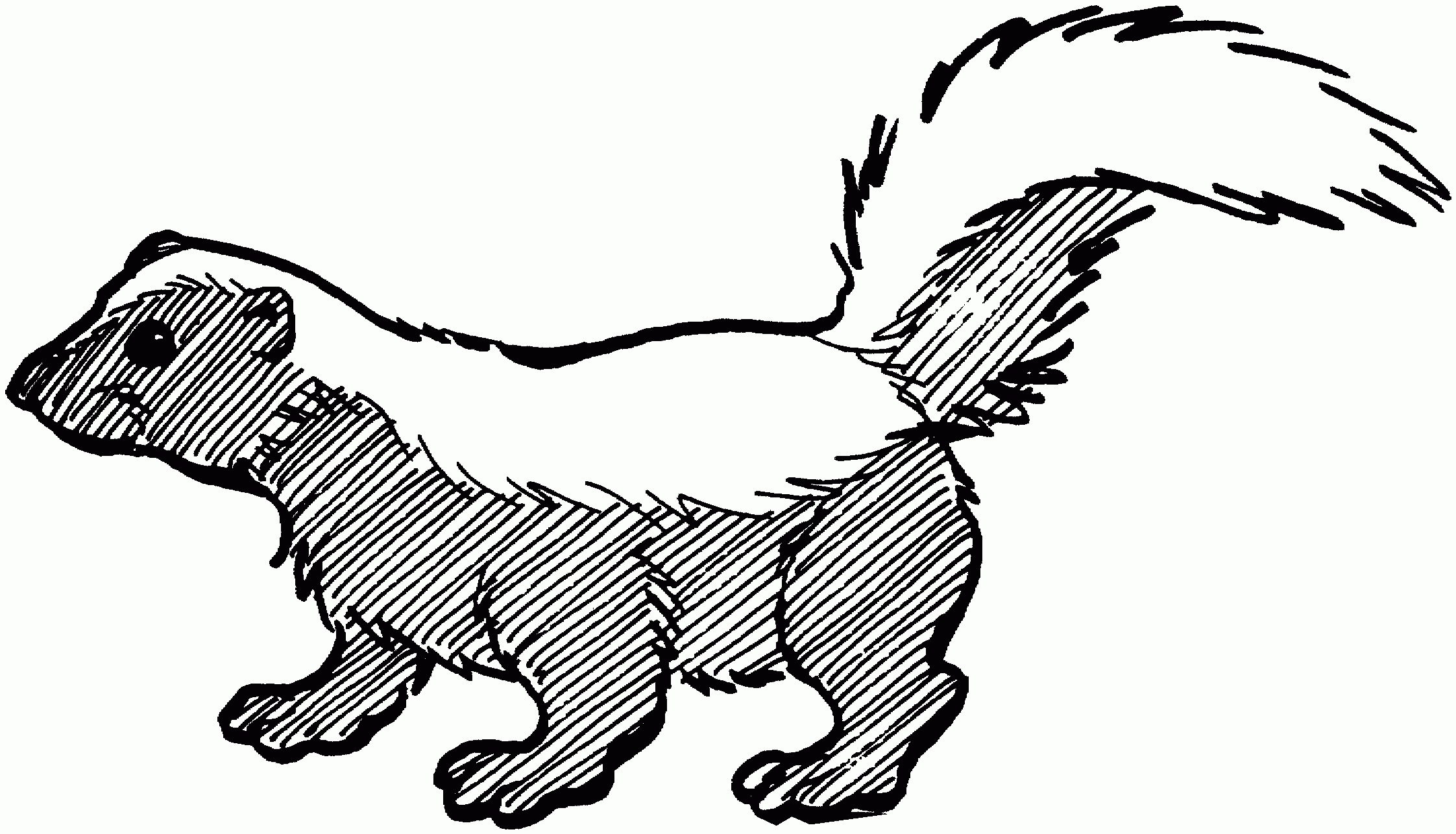Free Skunk Coloring Pages