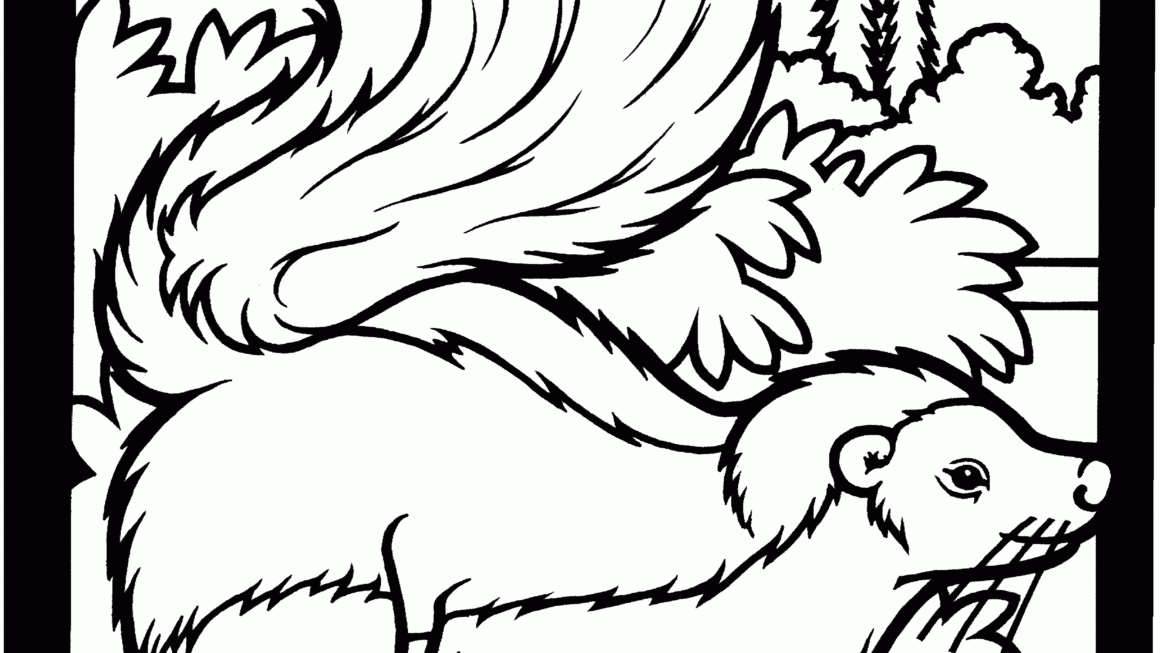 Free Skunk Coloring Pages