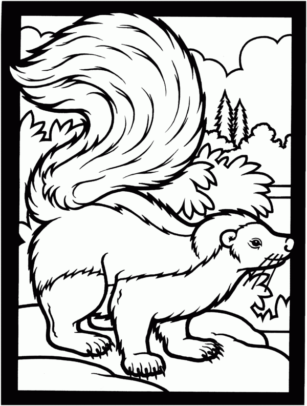 Printable Skunk Coloring Pages
