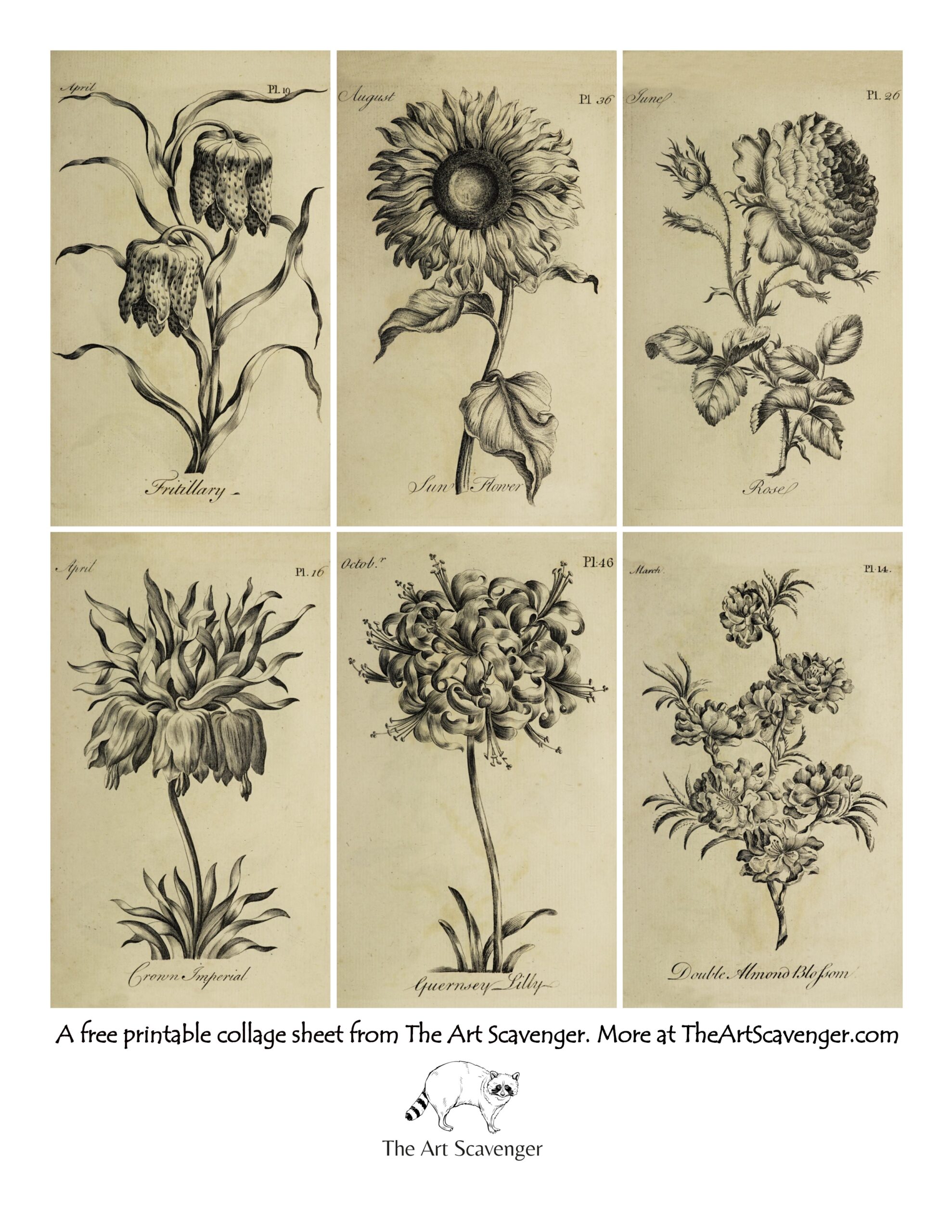 Free Vintage Adult Coloring Book Collage Sheet Printables The Art Scavenger