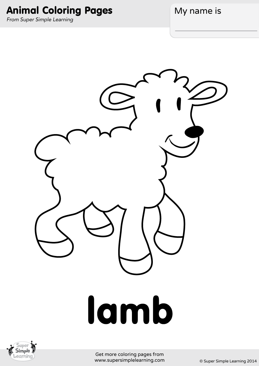Lamb Coloring Page Super Simple