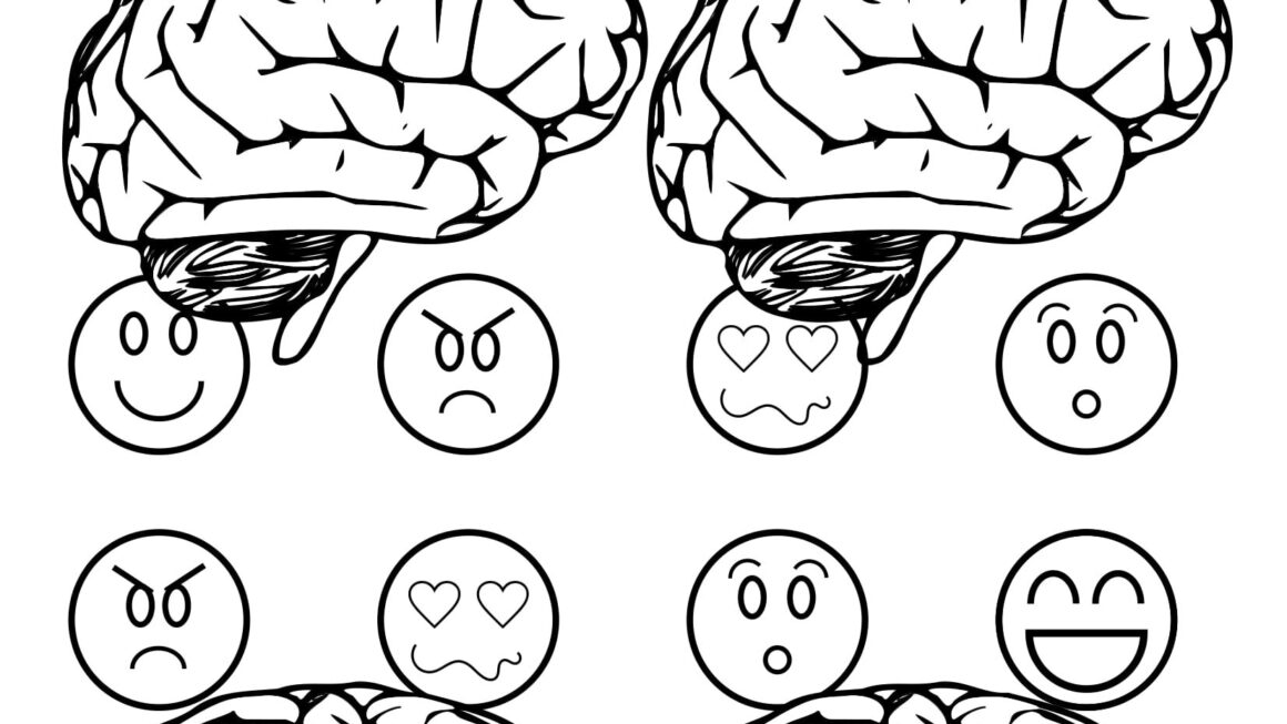 Neuro Coloring P Pages GLIA