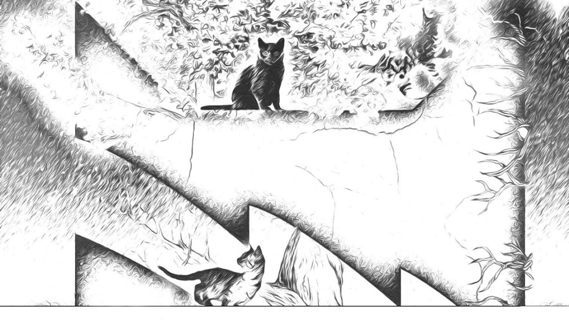 New Warrior Cats Coloring Activity Sheet Warrior Cats