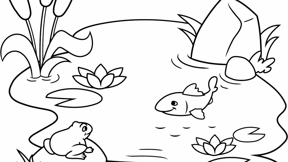 Pond Coloring Page Easy Drawing Guides