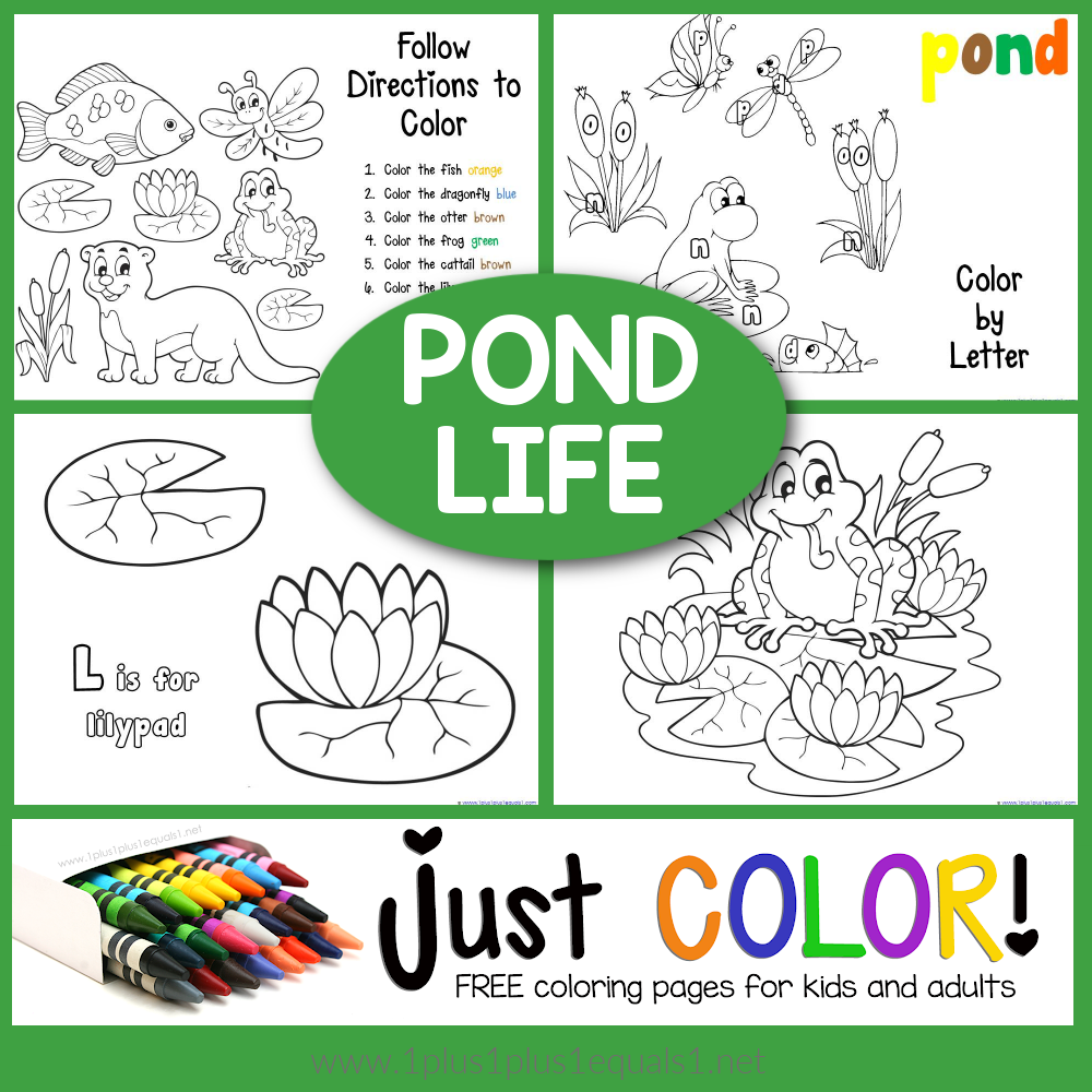 Pond Coloring Printables 1 1 1 1