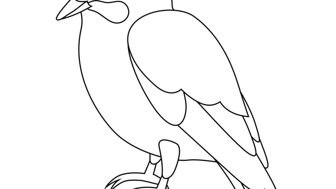 Printable Bird Colouring Pages For Your Child
