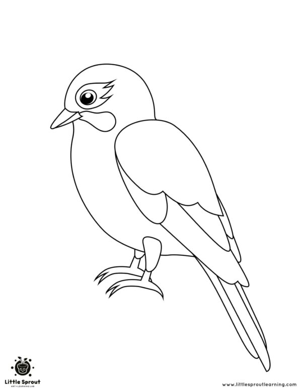Free Printable Bird Coloring Pages