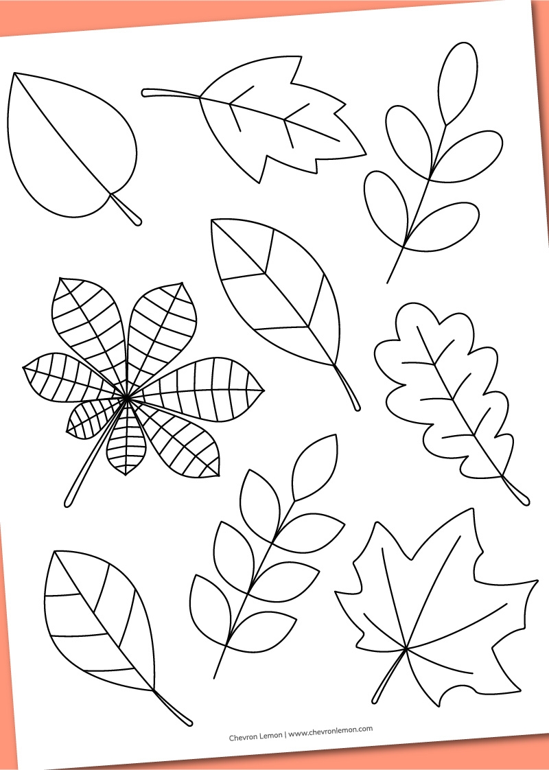 Fall Leaves Coloring Pages Printable