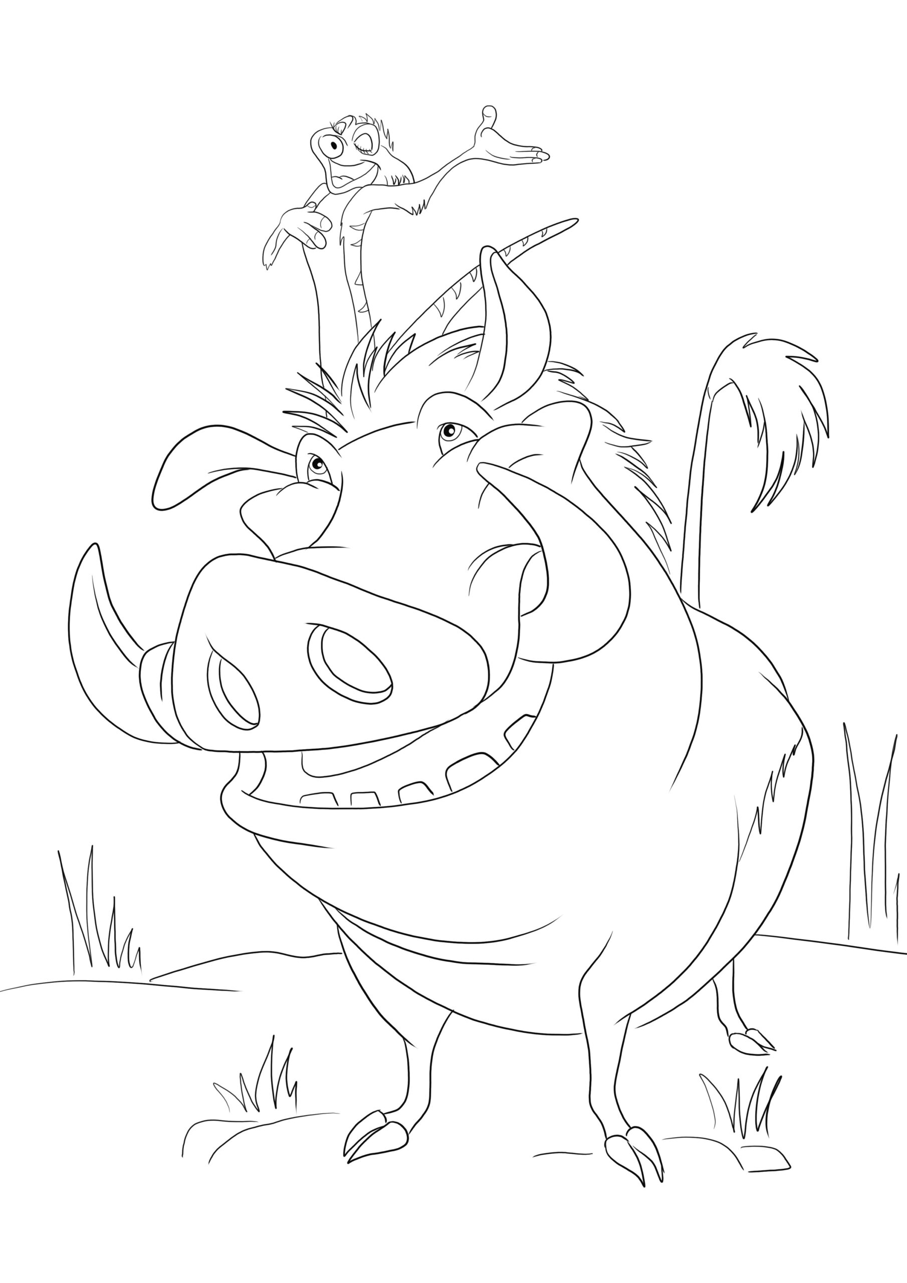 Timon Printable Coloring Pages