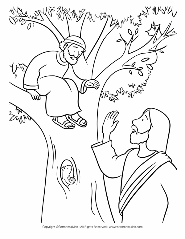 Zacchaeus Coloring Page Printable